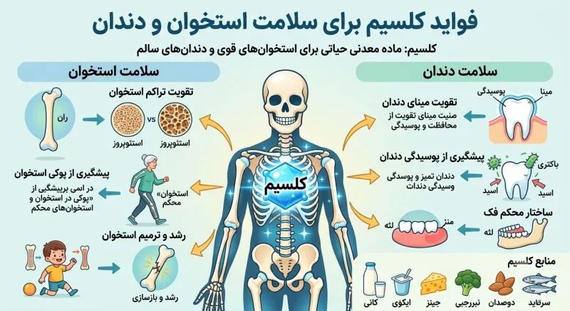 فواید کلسیم برای سلامت استخوان و دندان