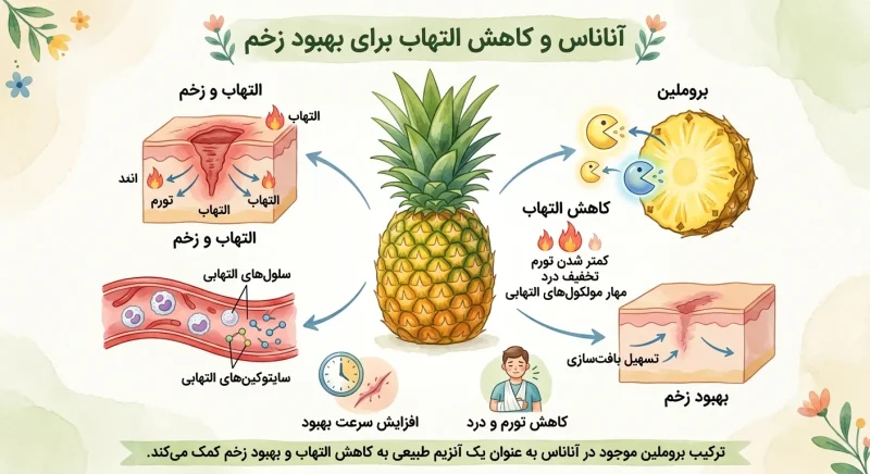 آناناس و کاهش التهاب برای بهبود زخم