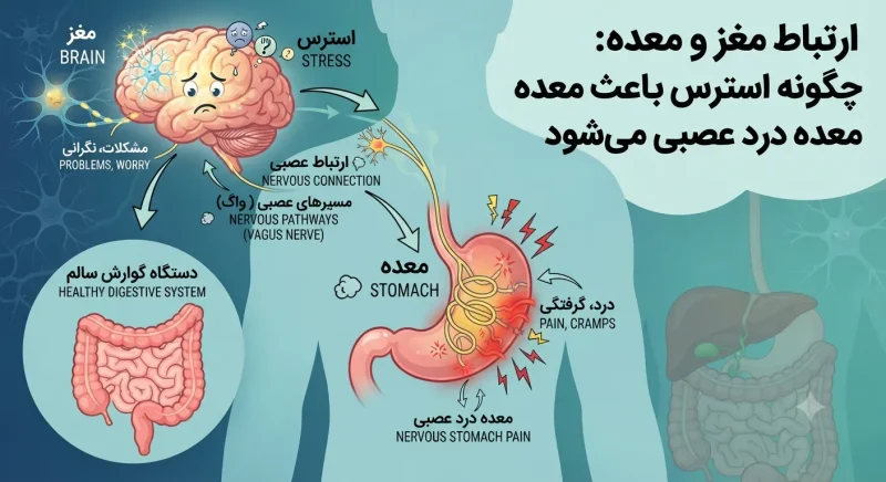 ارتباط مغز و معده و تاثیر استرس بر ایجاد معده درد عصبی