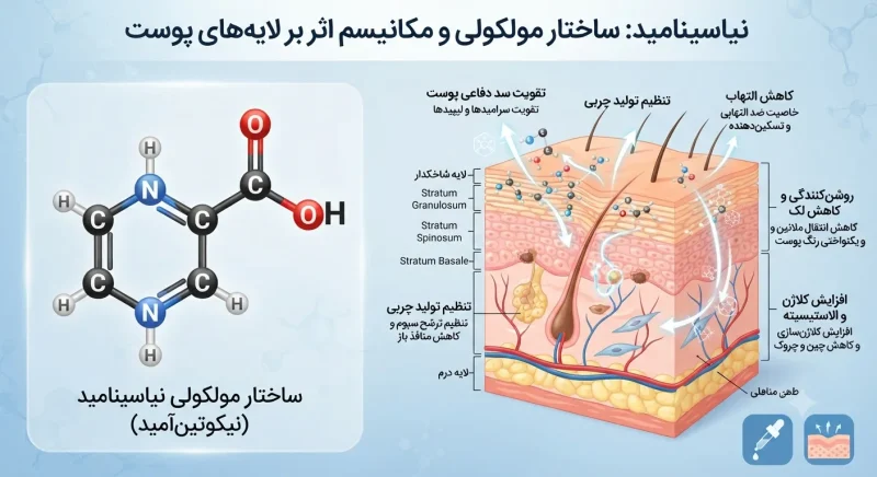 ساختار مولکولی نیاسینامید و تاثیر آن بر لایه‌های پوست