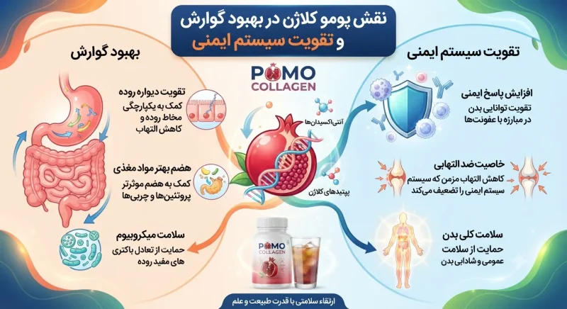 نقش پومو کلاژن در بهبود گوارش و تقویت سیستم ایمنی