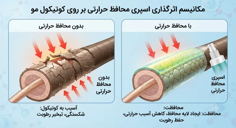 مکانیسم اثرگذاری اسپری محافظ حرارتی بر روی کوتیکول مو