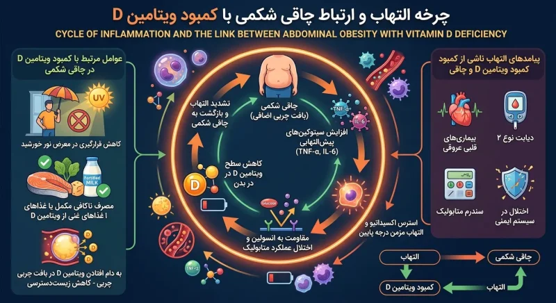 چرخه التهاب ناشی از چربی شکمی و کمبود ویتامین D نمودار چرخه التهاب و ارتباط چاقی شکمی با کمبود ویتامین D