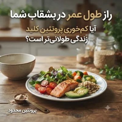 آیا کم‌خوری پروتئین باعث افزایش طول عمر می‌شود؟ آنچه پژوهش‌ها می‌گویند