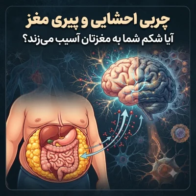 مطالعه جدید: چربی احشایی عامل کلیدی در پیری مغز و ابتلا به زوال عقل