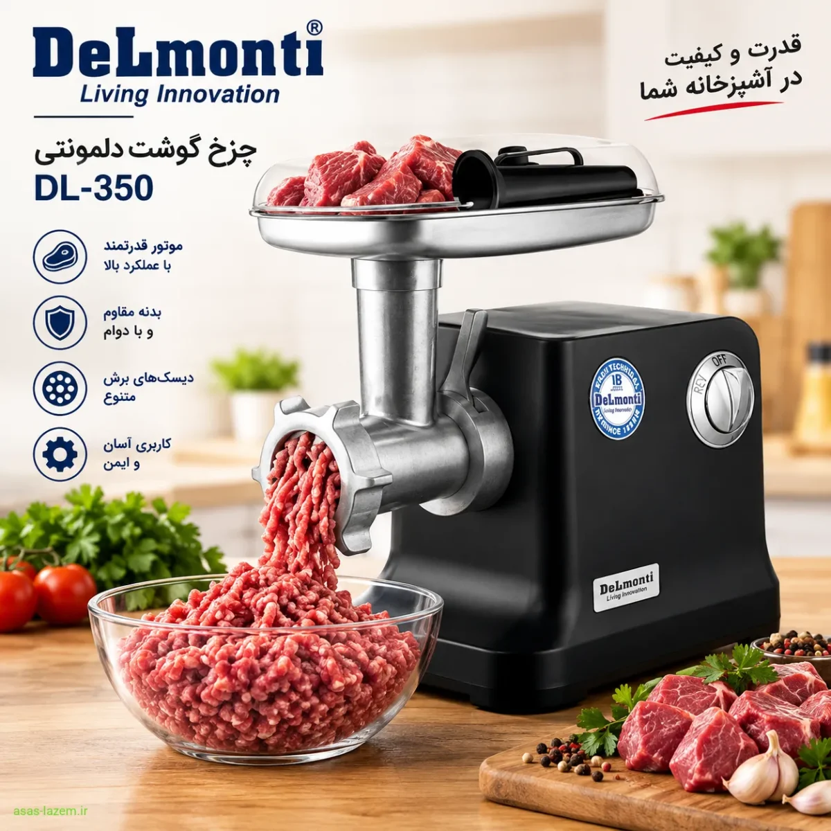 چرخ کردن گوشت با چرخ گوشت دلمونتی DL-350