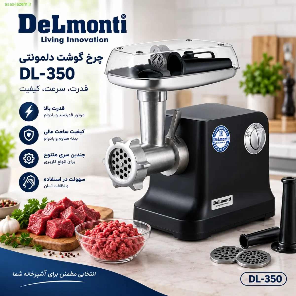 چرخ گوشت دلمونتی DL-350 در نمای کلی