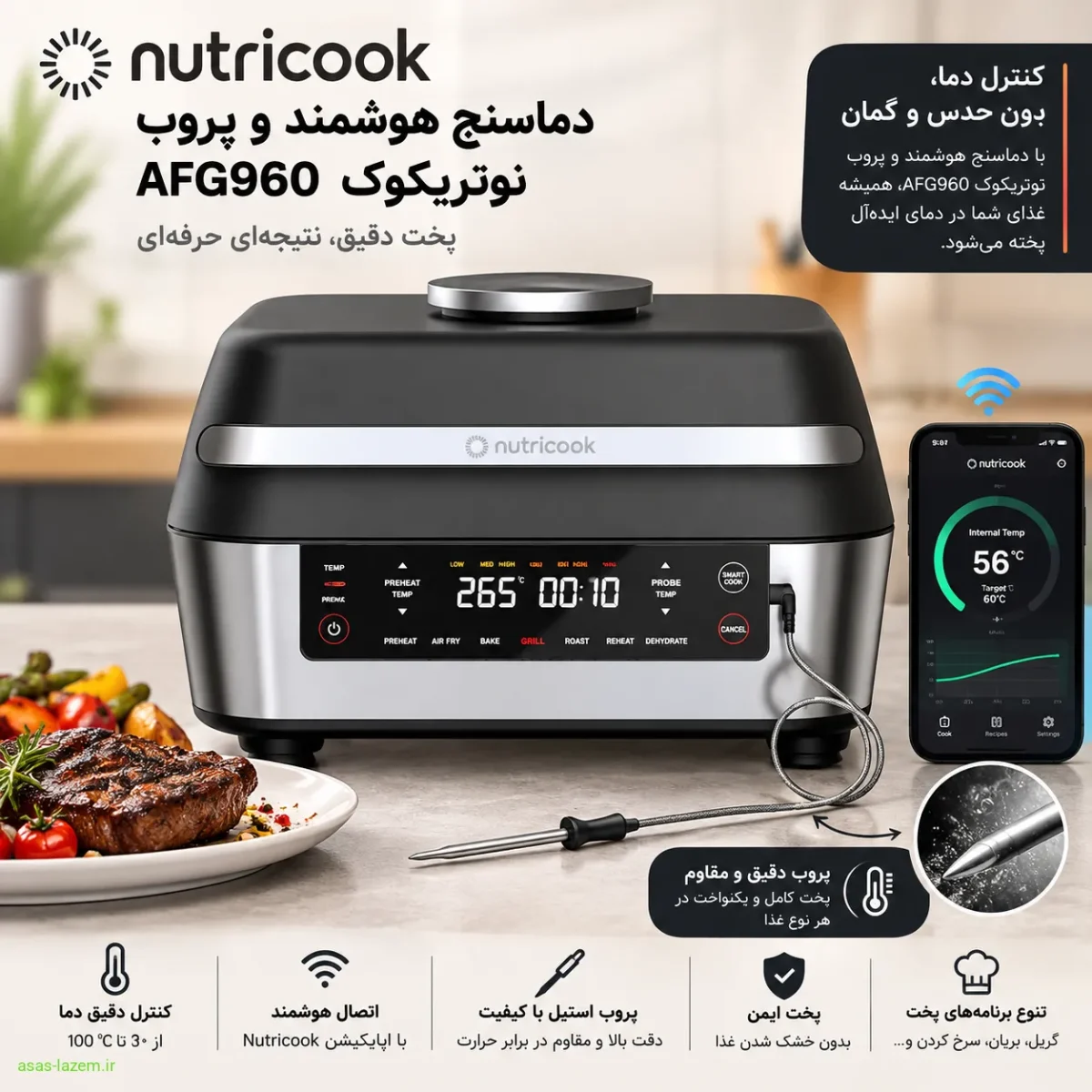 دماسنج هوشمند و پروب نوتریکوک AFG960
