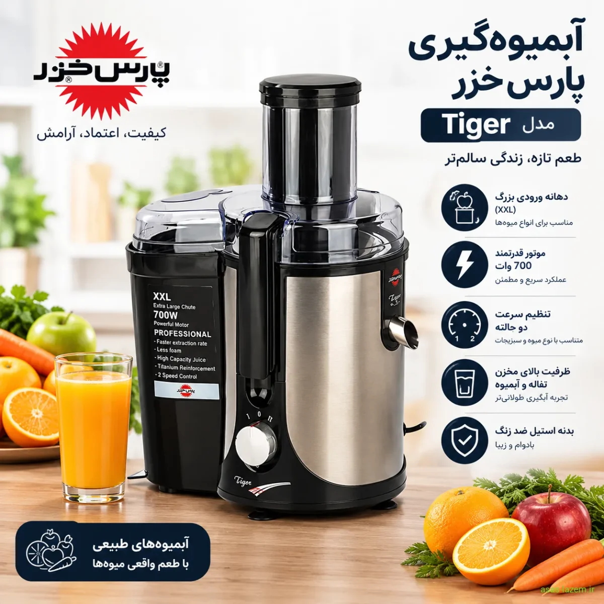 نمای کلی آبمیوه گیری پارس خزر مدل Tiger
