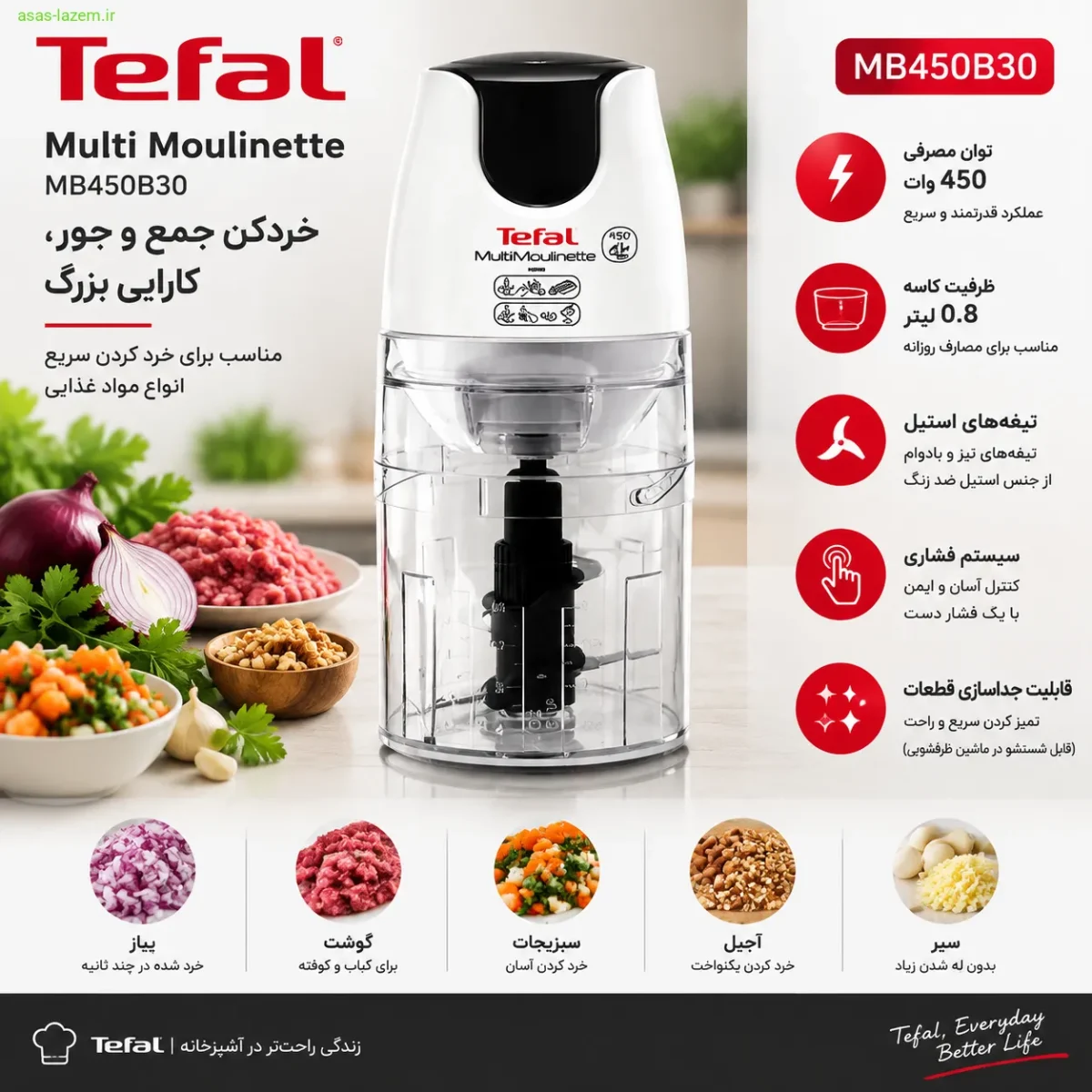 طراحی و ظاهر خردکن تفال MB450B30