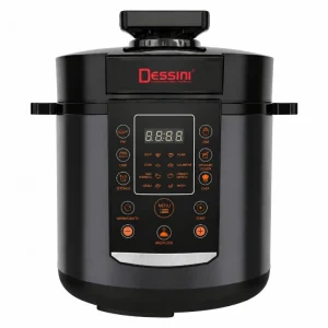 مولتی کوکر 6 لیتری دسینی مدل DS498