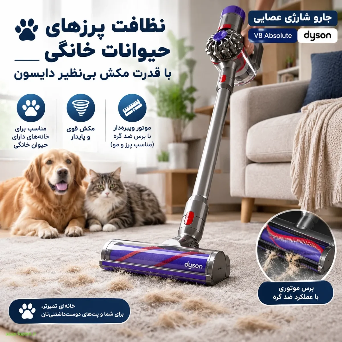 نظافت پرزهای حیوانات خانگی با دایسون V8 Absolute